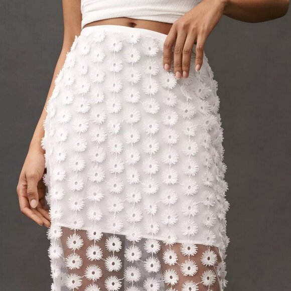 NWT By Anthropologie 3D Texture Sheer Slip Midi Skirt size Small - Picture 3 of 11